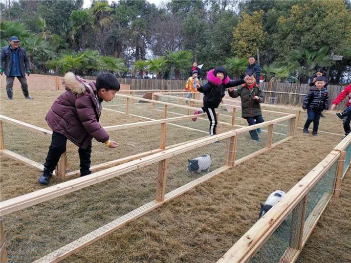 微信图片_20190208092004.jpg