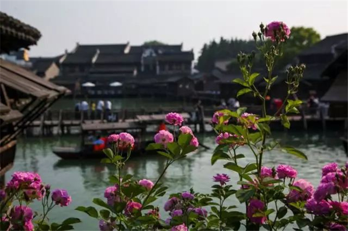 微信图片_20190401143220.jpg
