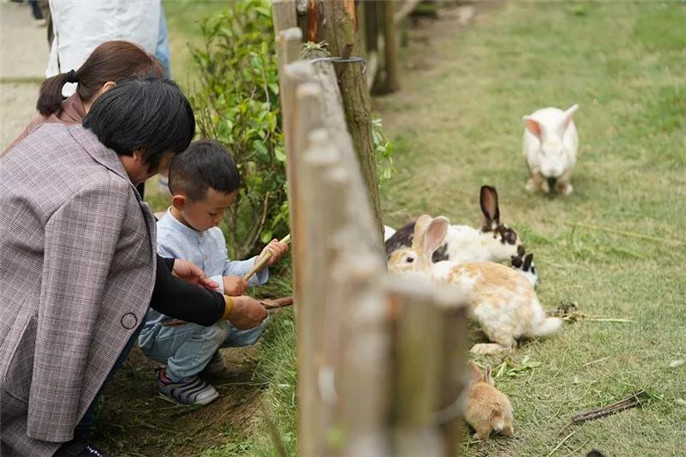 微信图片_20190509143814_副本2.jpg