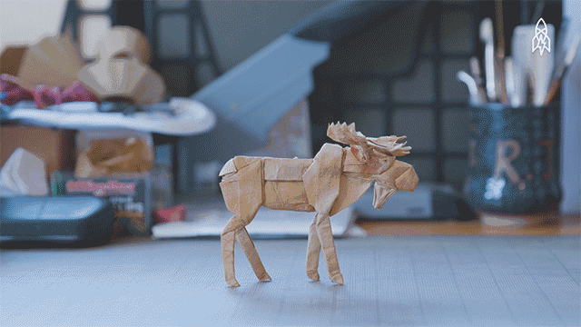 微信图片_20190511080657.gif