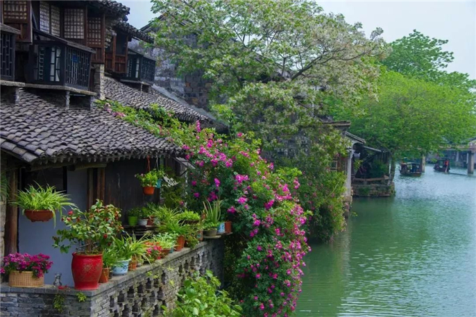 微信图片_20190512154548.jpg
