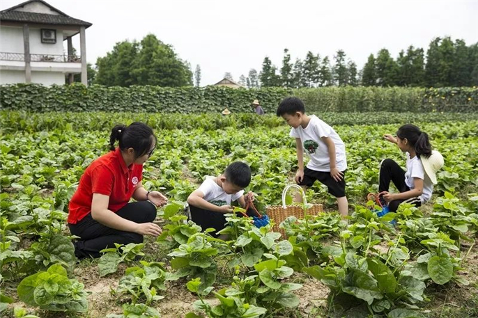 微信图片_20190518090809.jpg