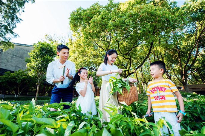 微信图片_20190529083234.jpg
