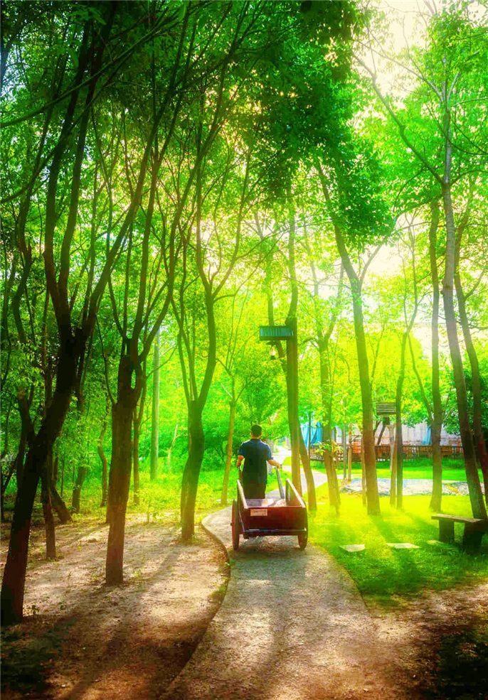 微信图片_20190606171409.jpg