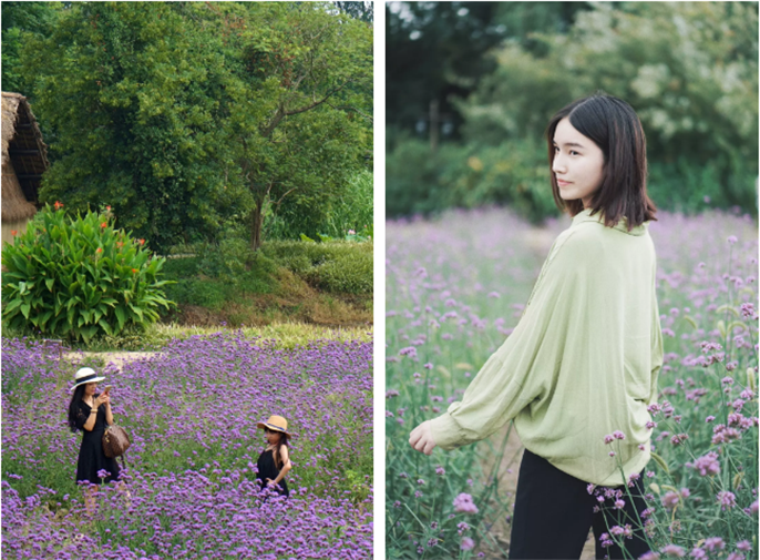 微信图片_20190816112246.png