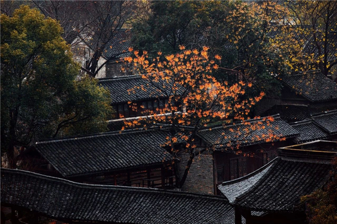 微信图片_20190927140452.jpg
