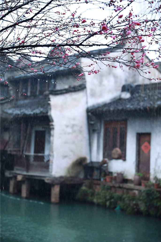 微信图片_20200219145648.jpg
