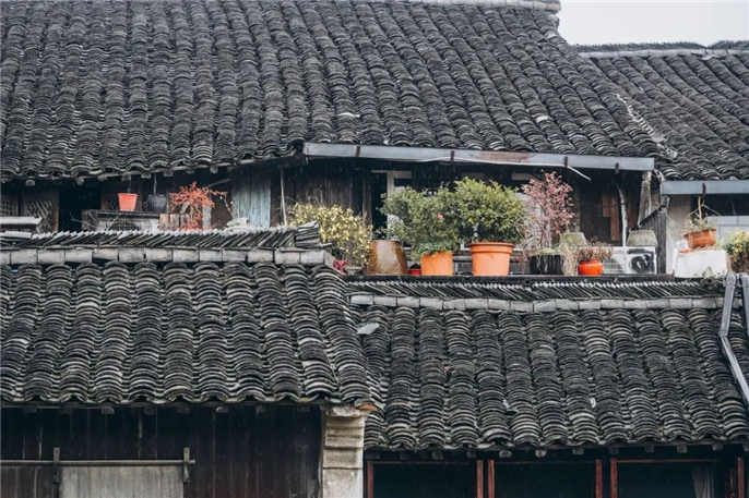 微信图片_20200226190713.jpg