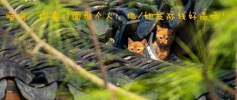微信图片_20211122162715.jpg