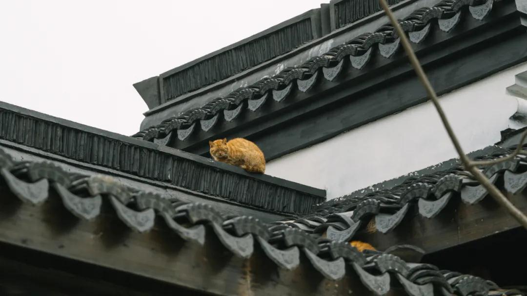 微信图片_20220120083908.jpg