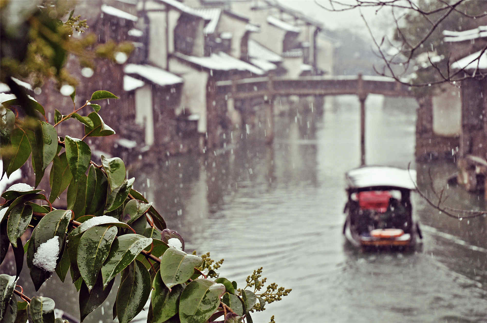 乌镇雪 (6)_副本.jpg