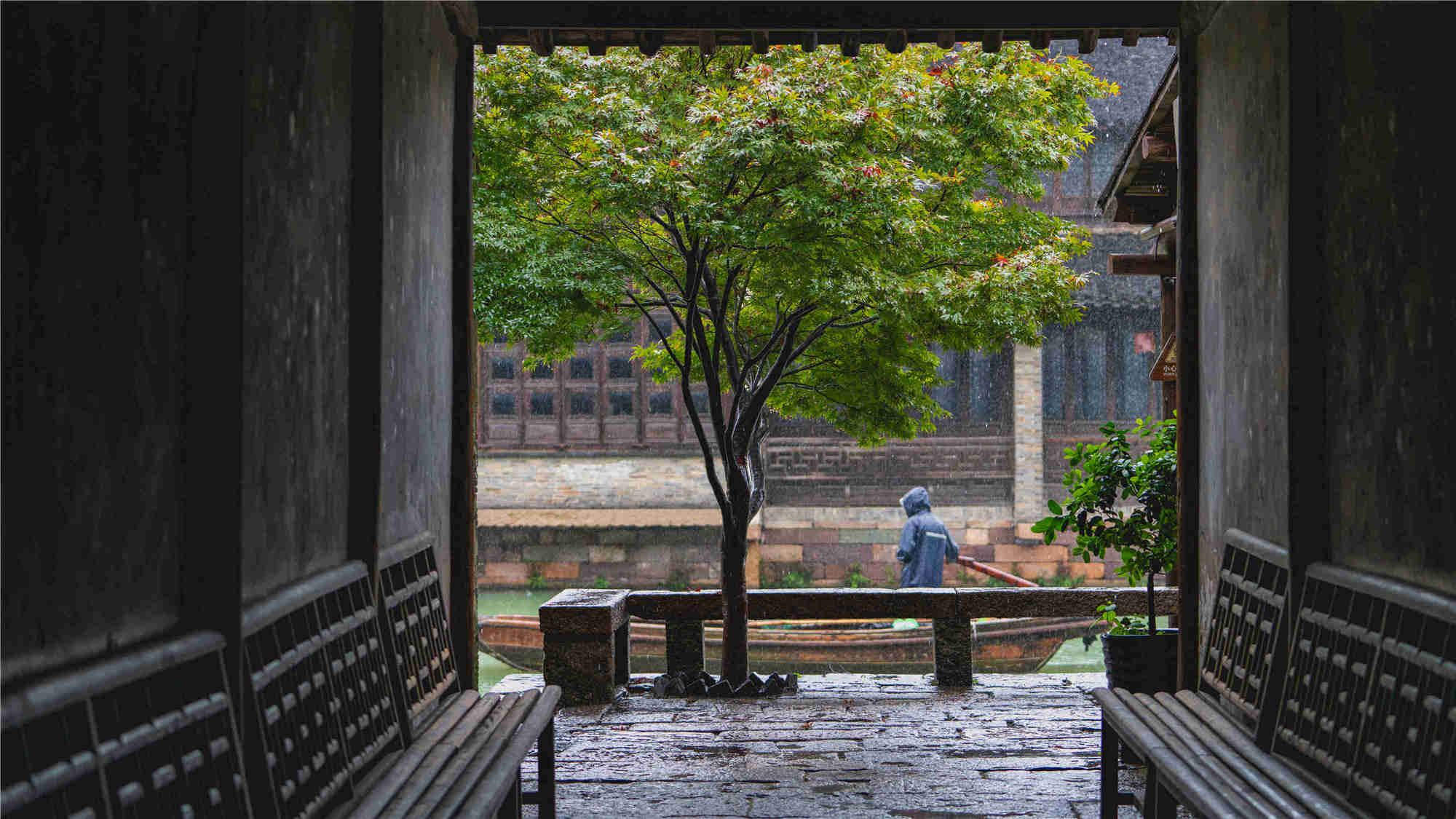 20210913西栅雨景 (8)_副本_副本_副本.jpg