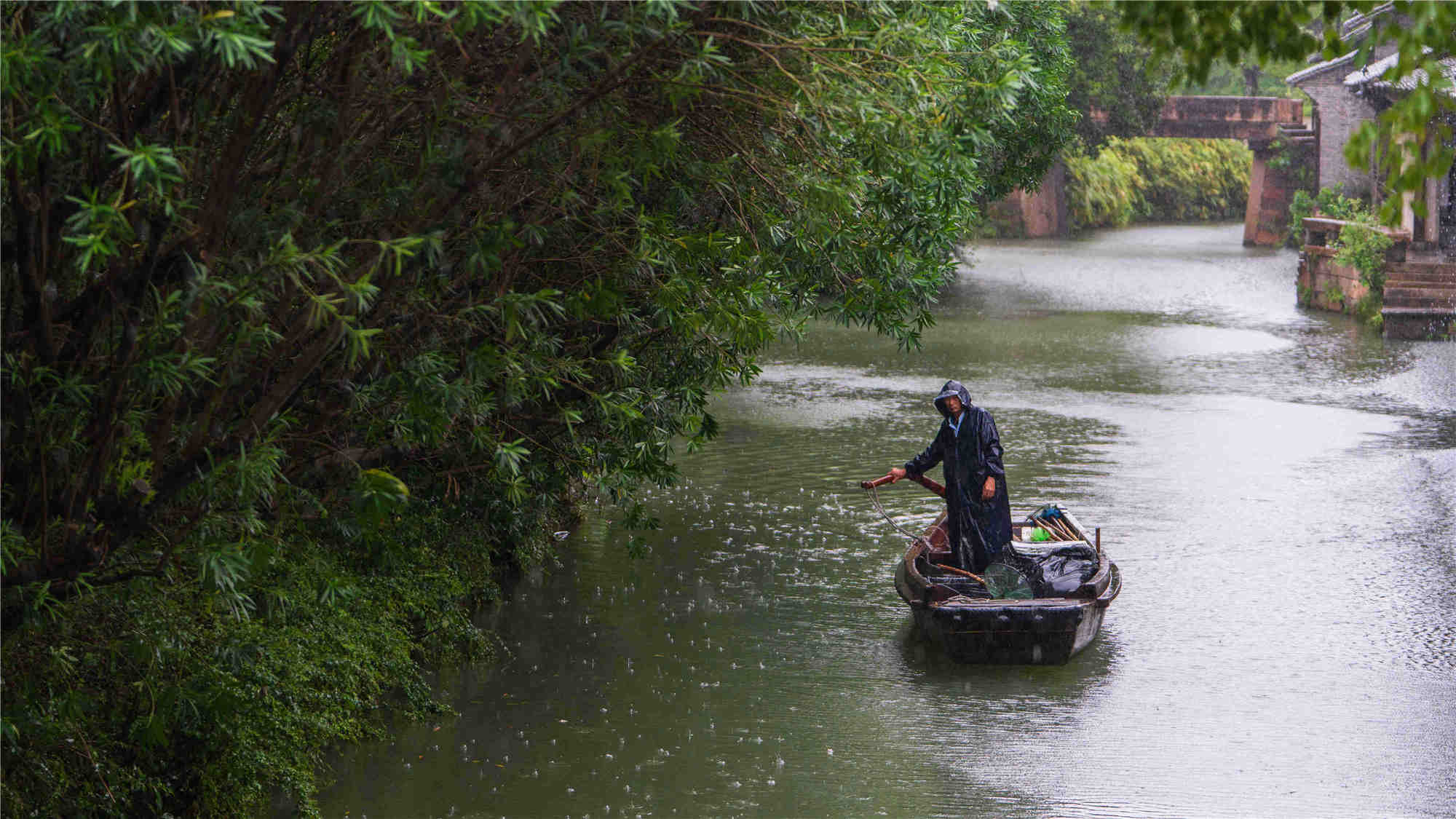 20210913西栅雨景 (7)_副本_副本_副本.jpg