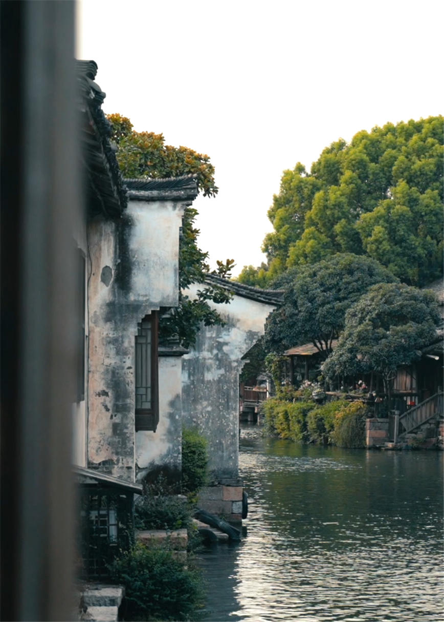 微信图片_20221206142859.jpg