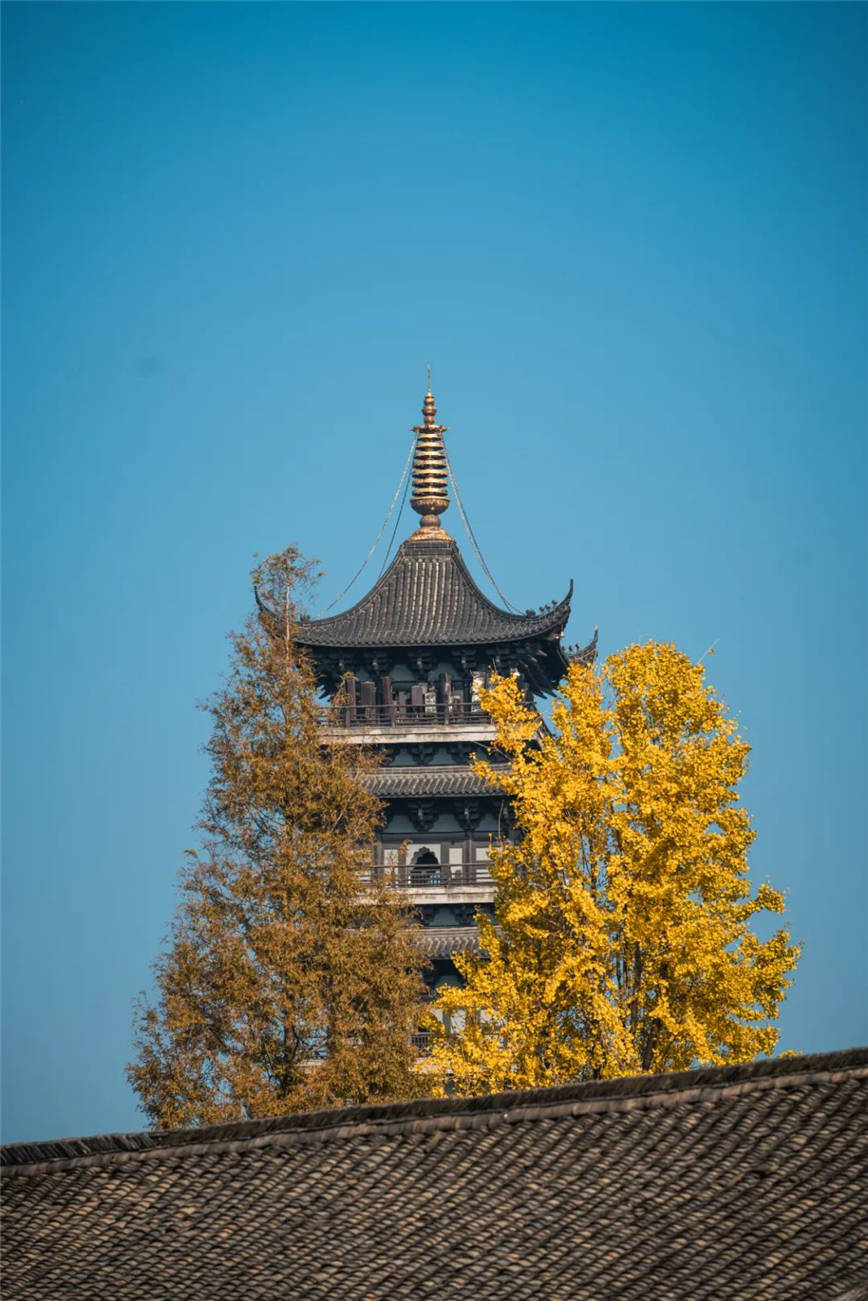 微信图片_20230101165031.jpg