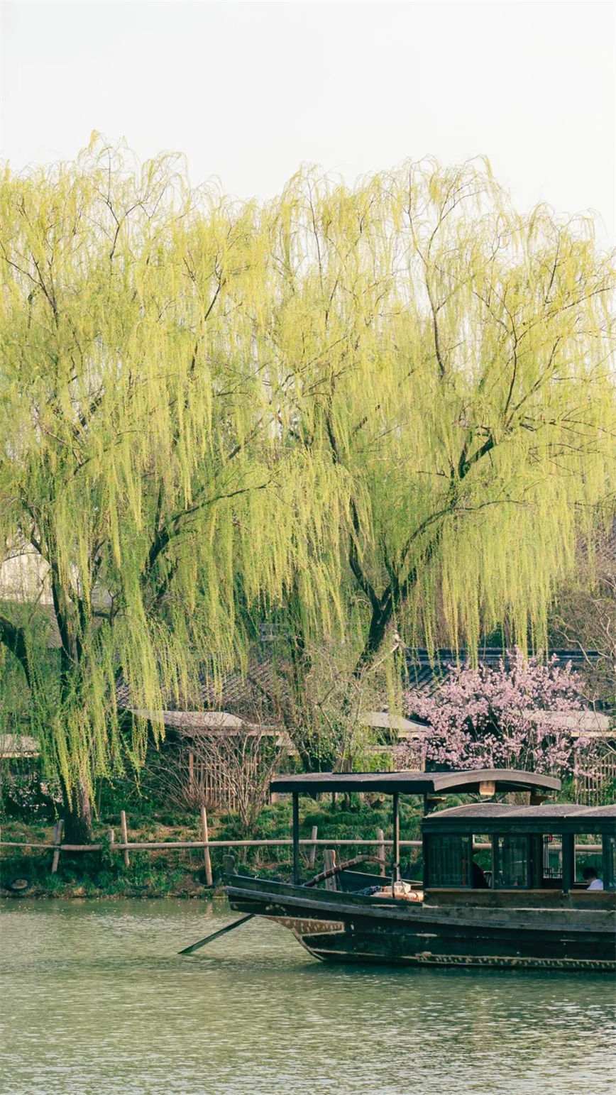 微信图片_20230402140941_副本.jpg