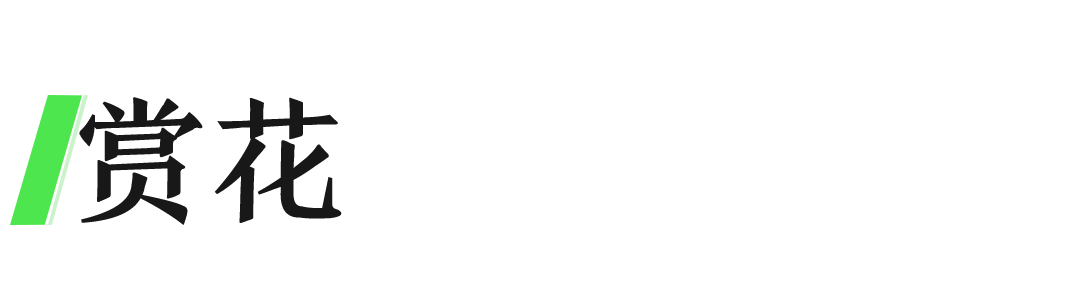 微信图片_20230402141013.png