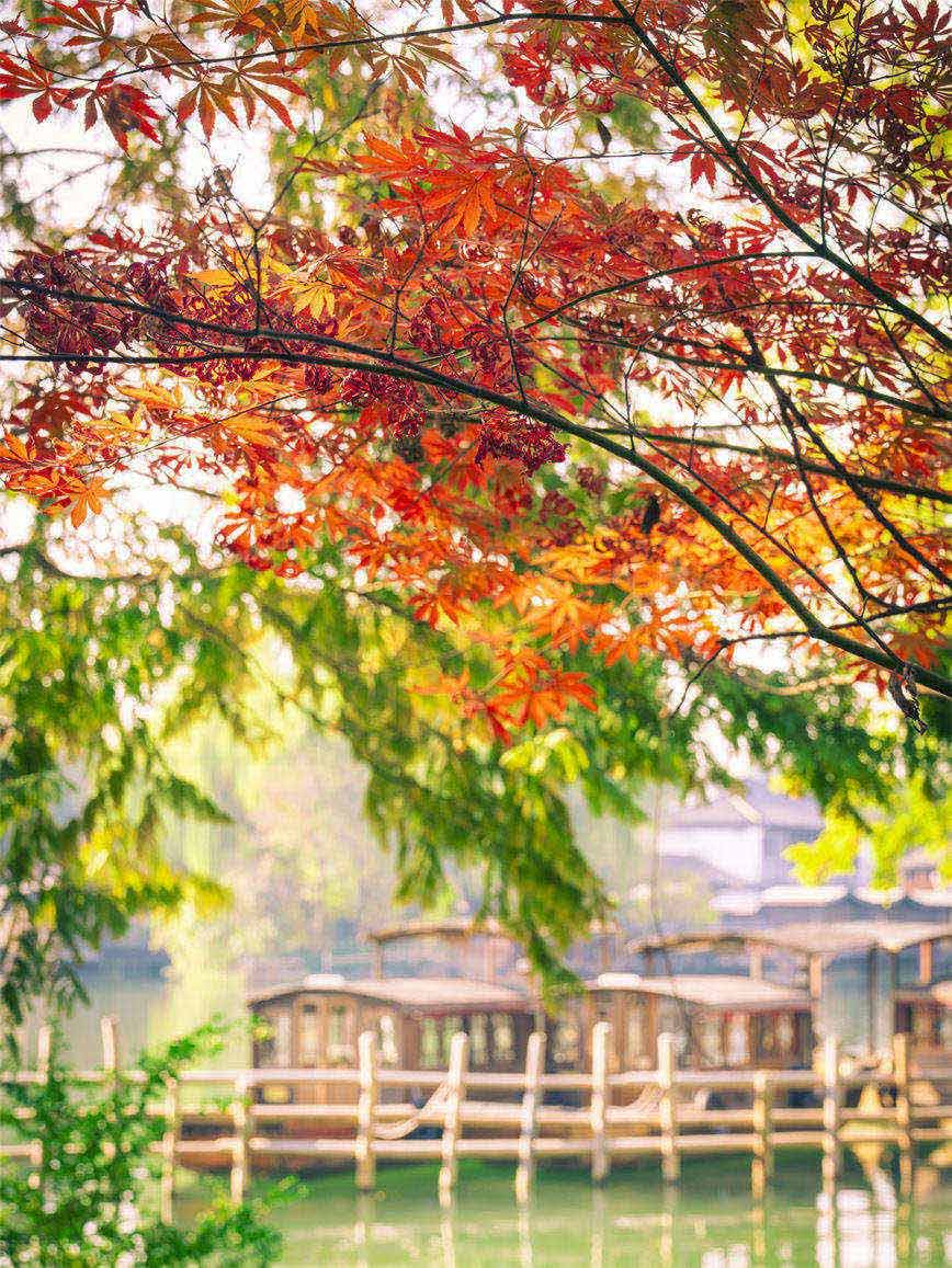 20231202风景_9.jpg