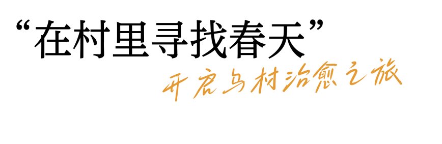 1708227476961300.png 49.png