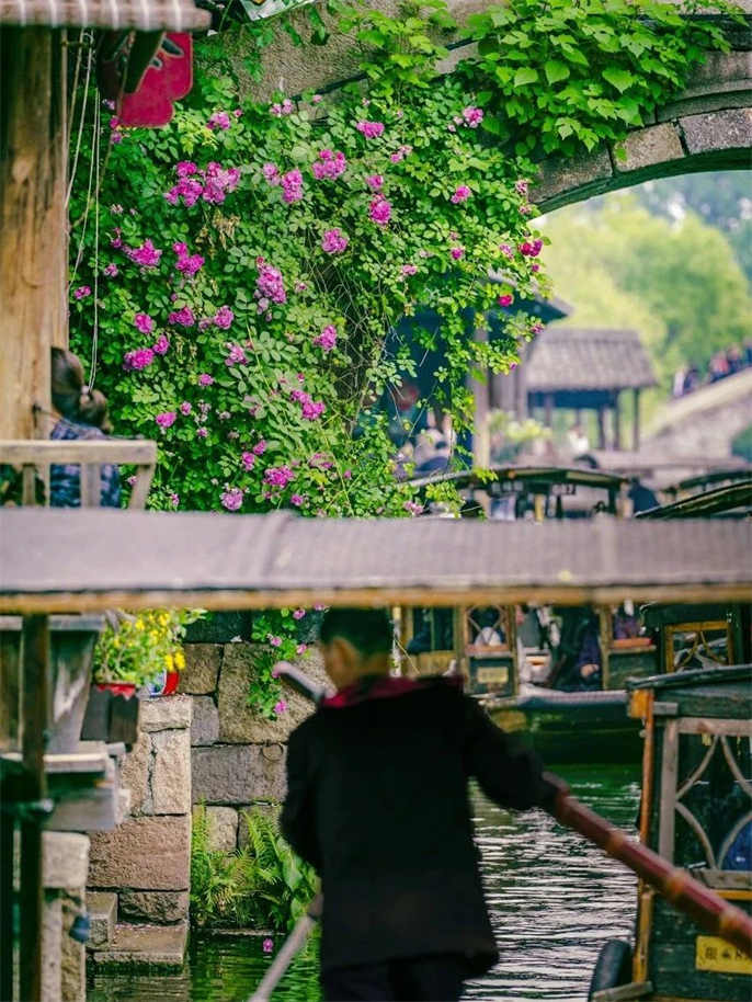 1715161959618823.jpg 微信图片_20240508175113.jpg