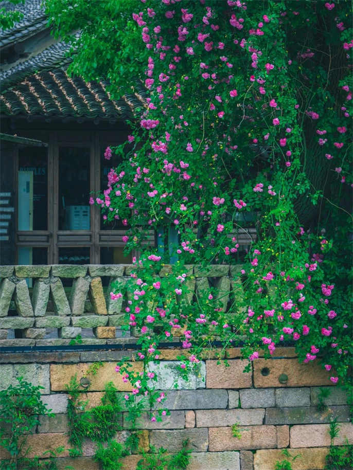 1715161971160783.jpg 微信图片_20240508175119.jpg