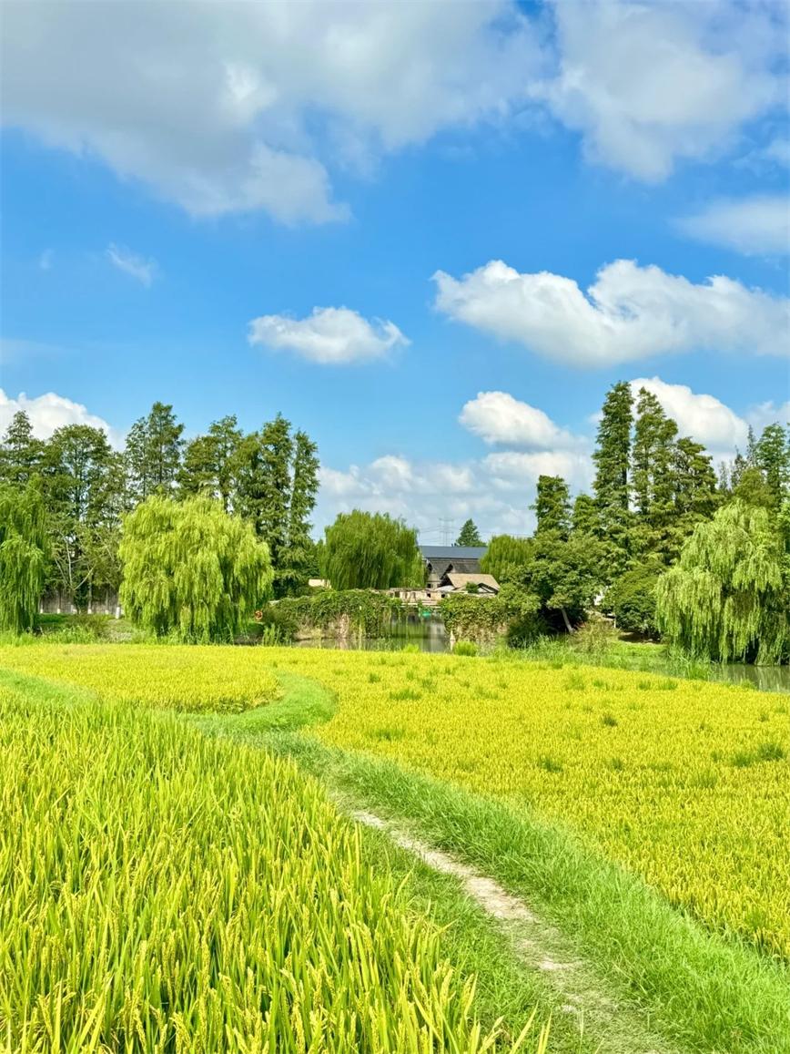 1728434970946707.jpg 秋天的乌村,堪称秋日旅行天花板!!_3_乌村Village_来自小红书网页版.jpg