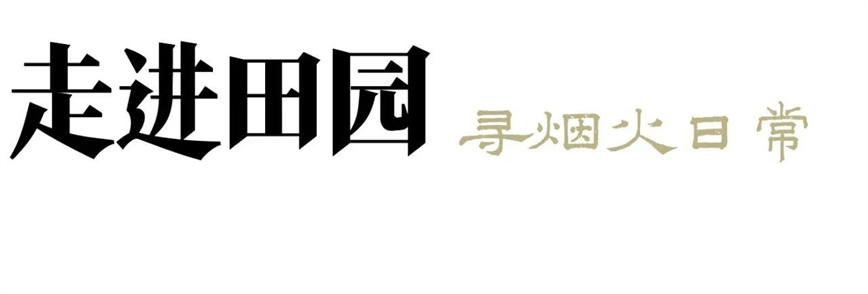 微信图片_20250118133642.jpg