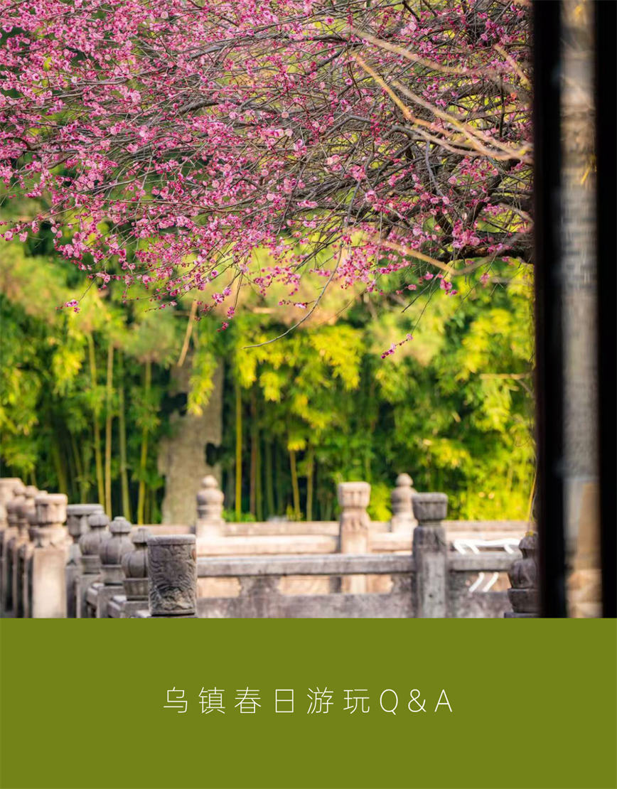 微信图片_20250321102755.jpg