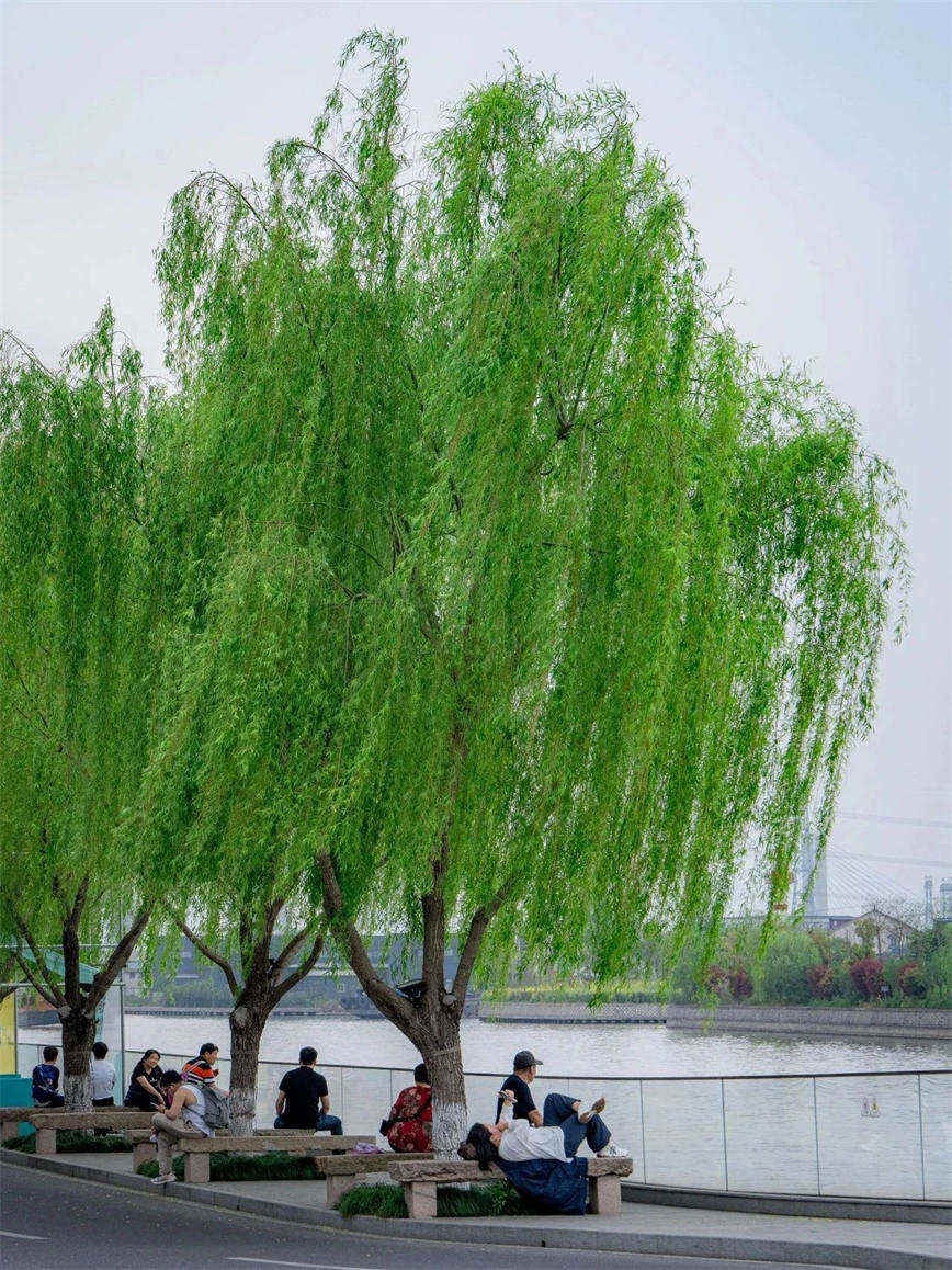 微信图片_20250415135701.jpg