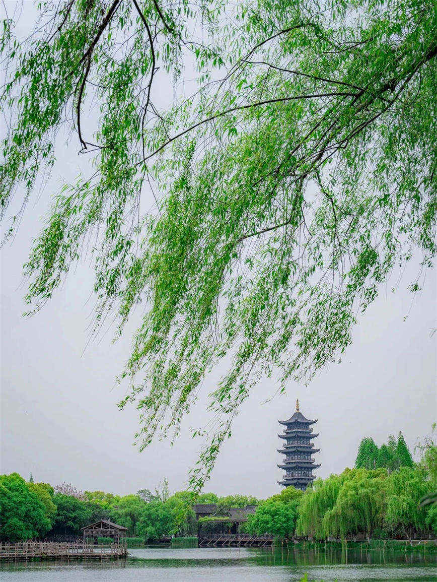 微信图片_20250415135705.jpg