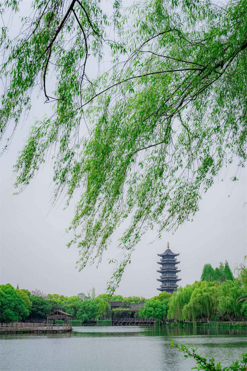 微信图片_20250524084946.jpg