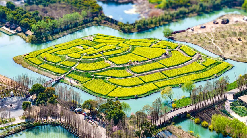 微信图片_20250620083820.jpg