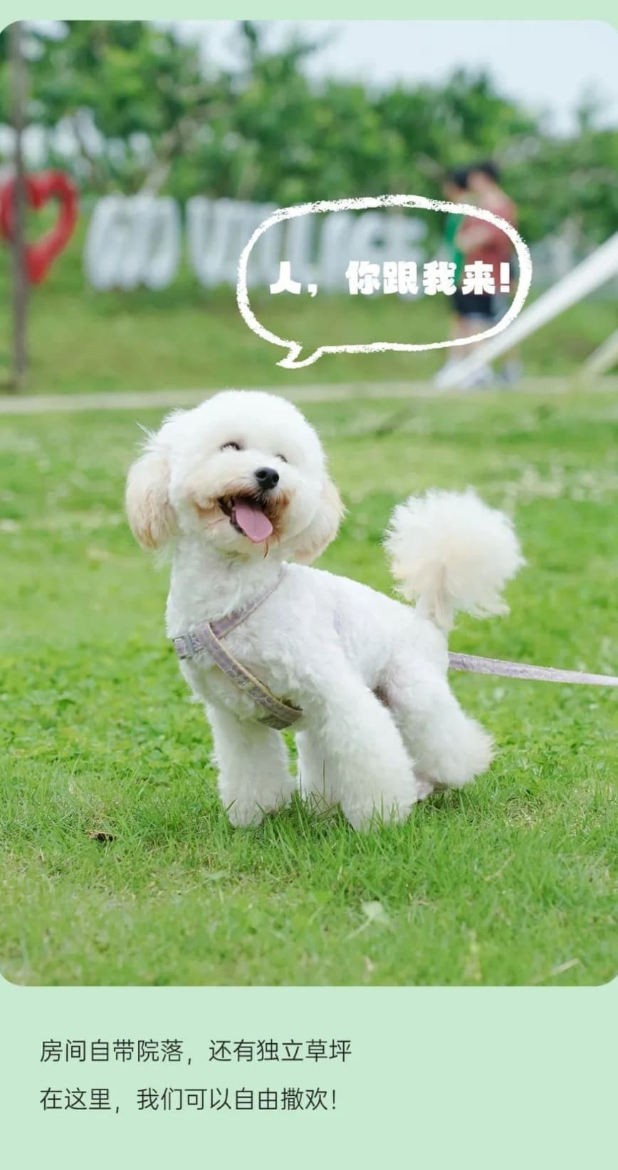 微信图片_20250625130737.jpg
