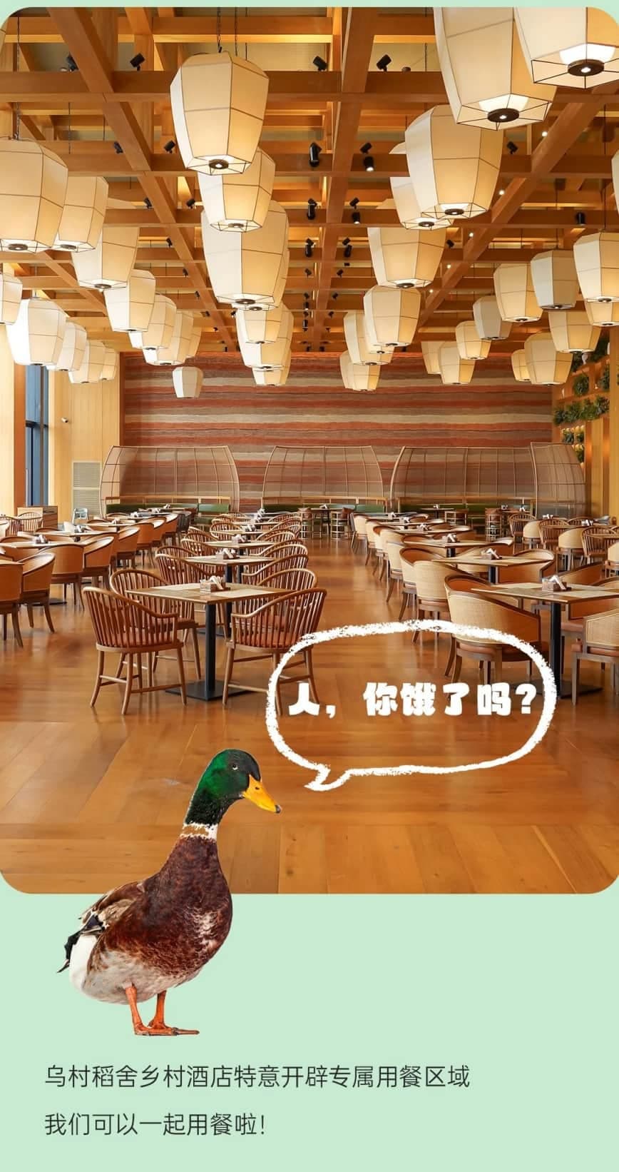 微信图片_20250625130747.jpg