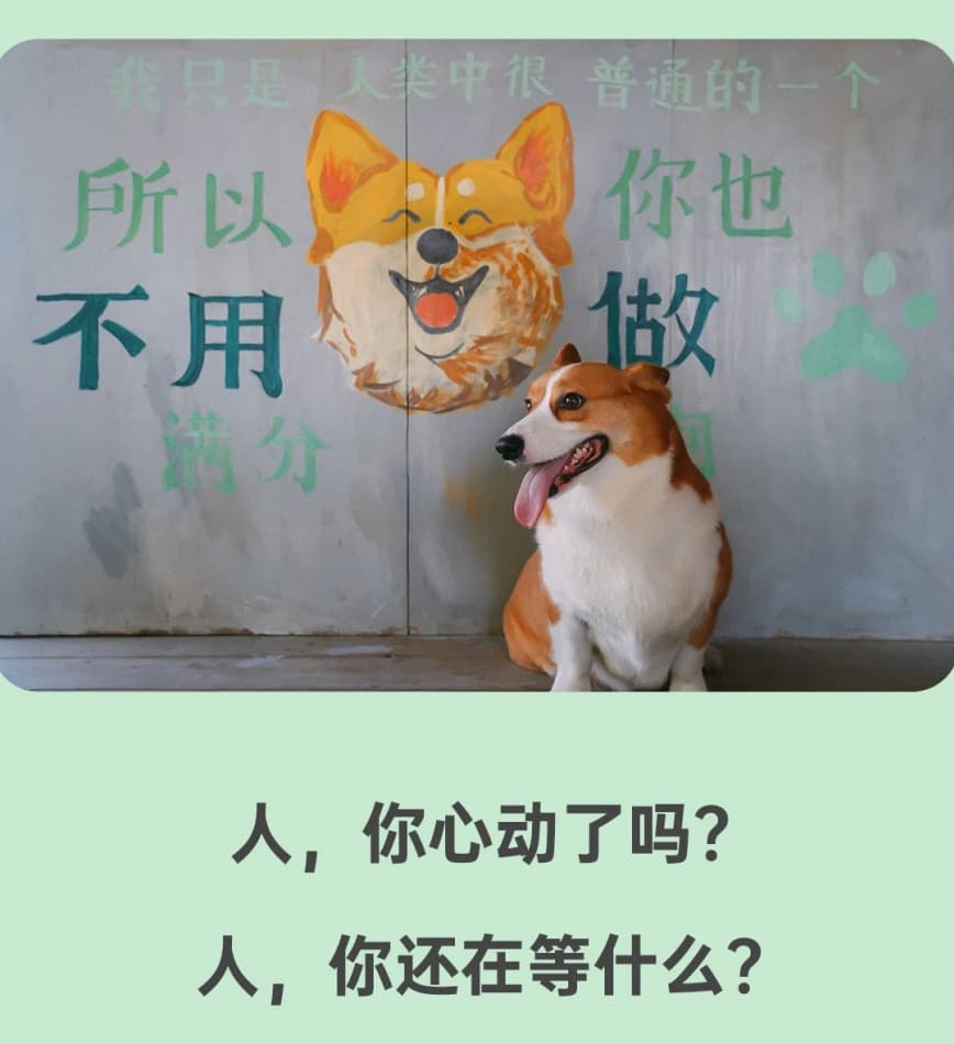 微信图片_20250625130756.jpg