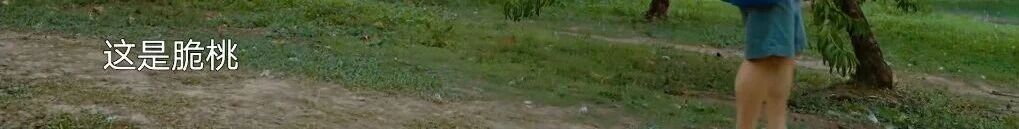 1762908709491135.jpg 59e6b44d7f7fec25798723873a8063f4.jpg