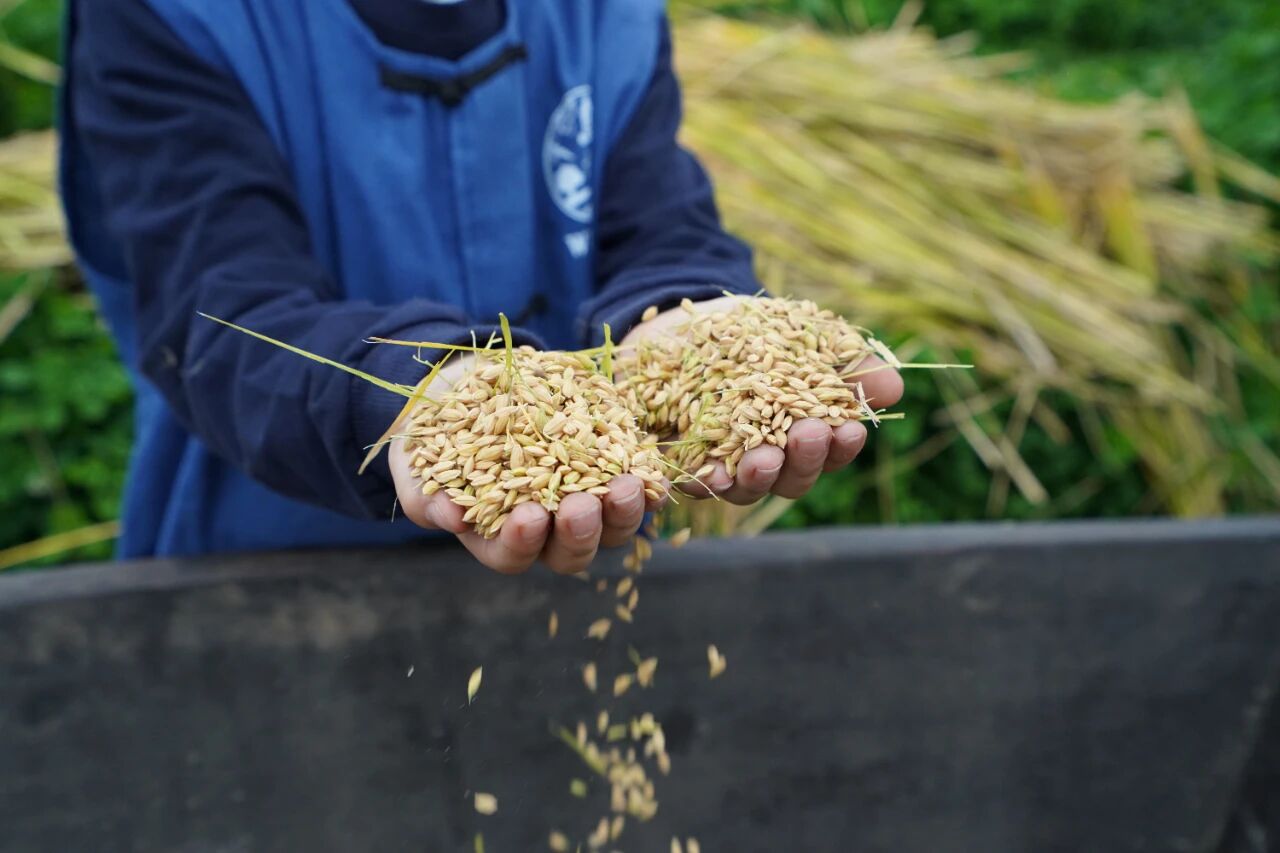 1762908808614893.jpg d44d8e571496688805609dafeb4189fd.jpg