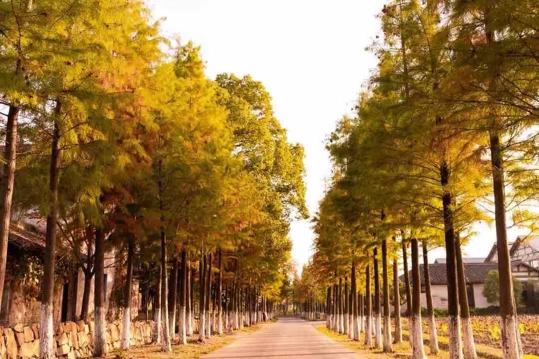 1765343473952474.jpg d11a97850d04c5f68093687fc8156c5e.jpg