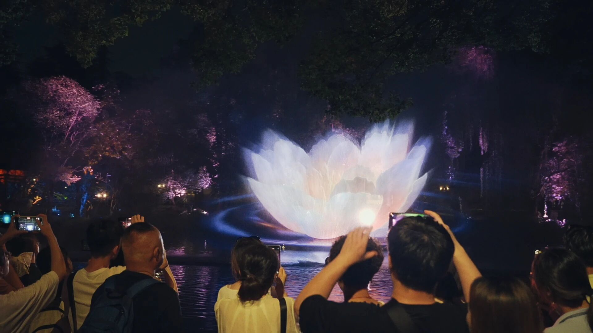 1767404733235667.jpg a11002638f21980172f8860a16642616.jpg